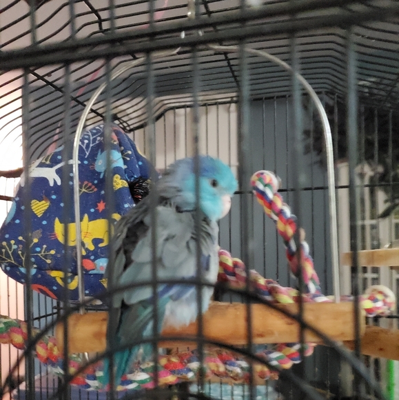 Meet your Posher, Jenny - Picture 4 of 4